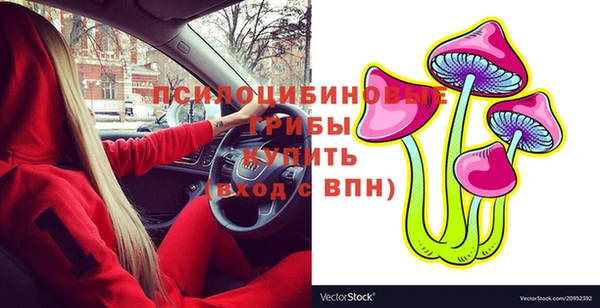 ГАЛЛЮЦИНОГЕННЫЕ ГРИБЫ Бугульма