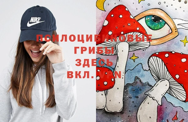 метадон Богданович