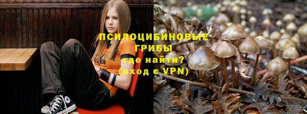 хмурый Богородицк