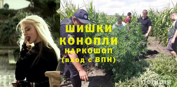 хмурый Богородицк