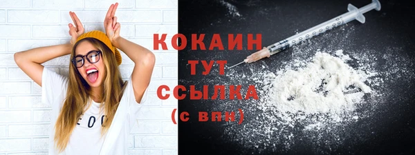 метадон Богданович
