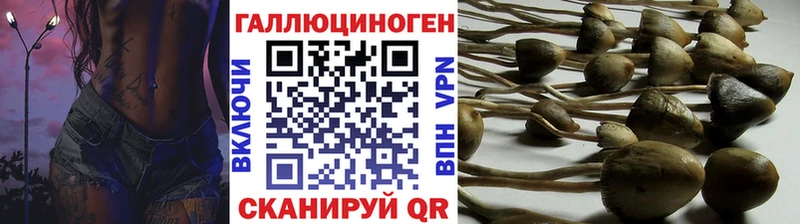 Купить  Ряжск  Галлюциногенные грибы Magic Shrooms 